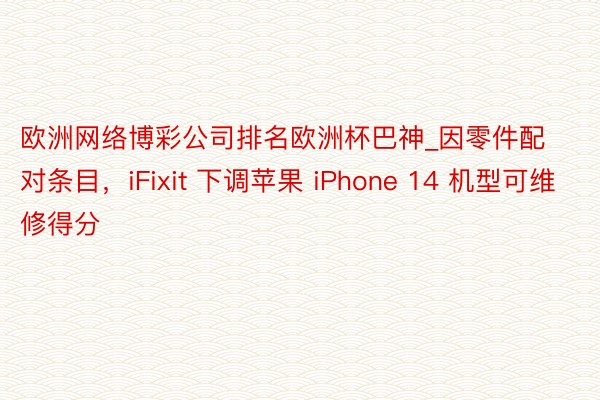 欧洲网络博彩公司排名欧洲杯巴神_因零件配对条目，iFixit 下调苹果 iPhone 14 机型可维修得分